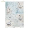 farm animals, easter, geese, happy goose, pastel background, Bauernhoftiere, Ostern, Gänse, glückliche Gans, pastellfarbener Hintergrund, animales de granja, pascua, gansos, ganso feliz, fondo pastel